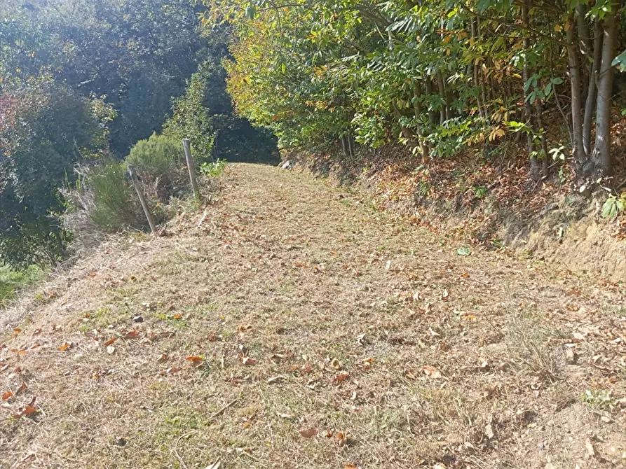 Immagine 7 di Casa indipendente in vendita  in Via della Franchizia a Campo Ligure