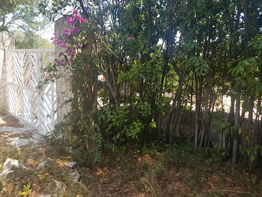 Immagine 29 di Villa in vendita  in Rosa Marina Via Jasmine 13 a Ostuni
