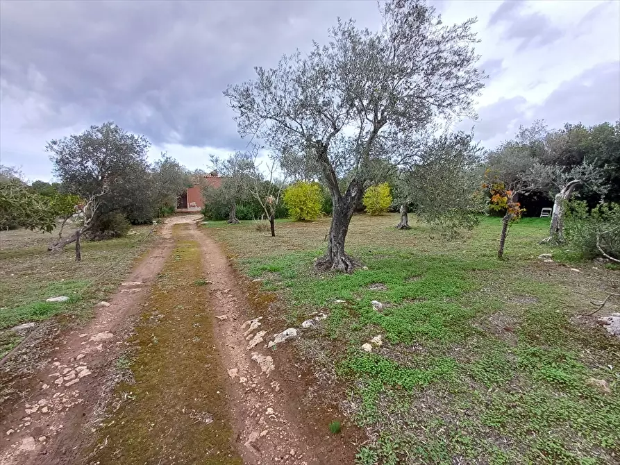 Immagine 9 di Casa indipendente in vendita  in Strada Vicinale Santa Maria di Lu Gardu n. 30/A a Sassari
