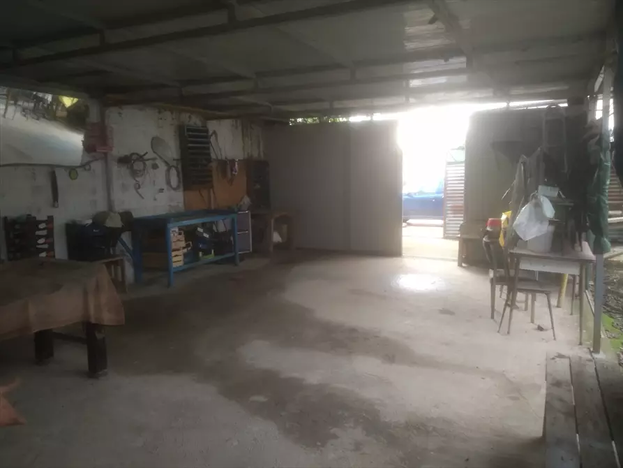 Immagine 4 di Terreno agricolo in vendita  in  TORRE QUARTO  a Cerignola