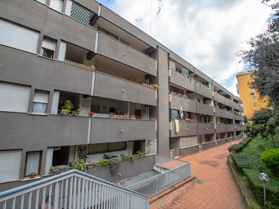 Immagine 6 di Appartamento in vendita  a Chieti