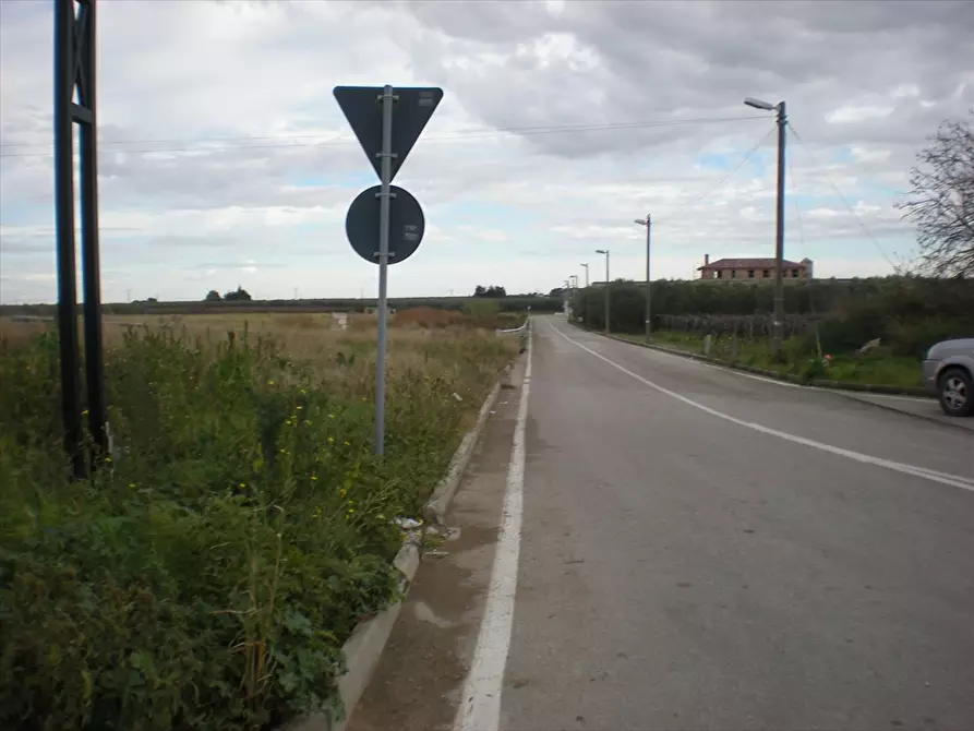 Immagine 5 di Terreno agricolo in vendita  in Via Manfredonia a Cerignola