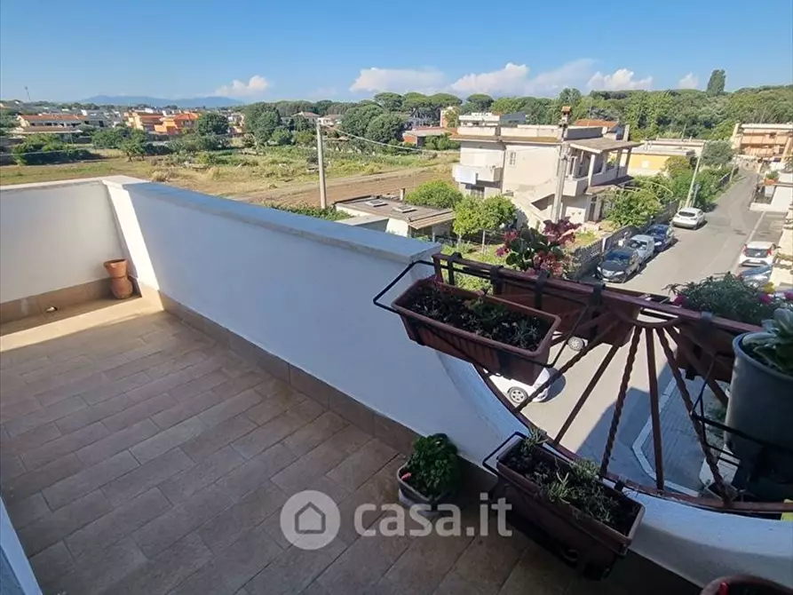 Immagine 10 di Appartamento in vendita  a Anzio