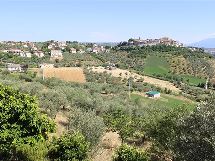 Immagine 7 di Casa indipendente in vendita  in Via Belvedere 27 a Collecorvino