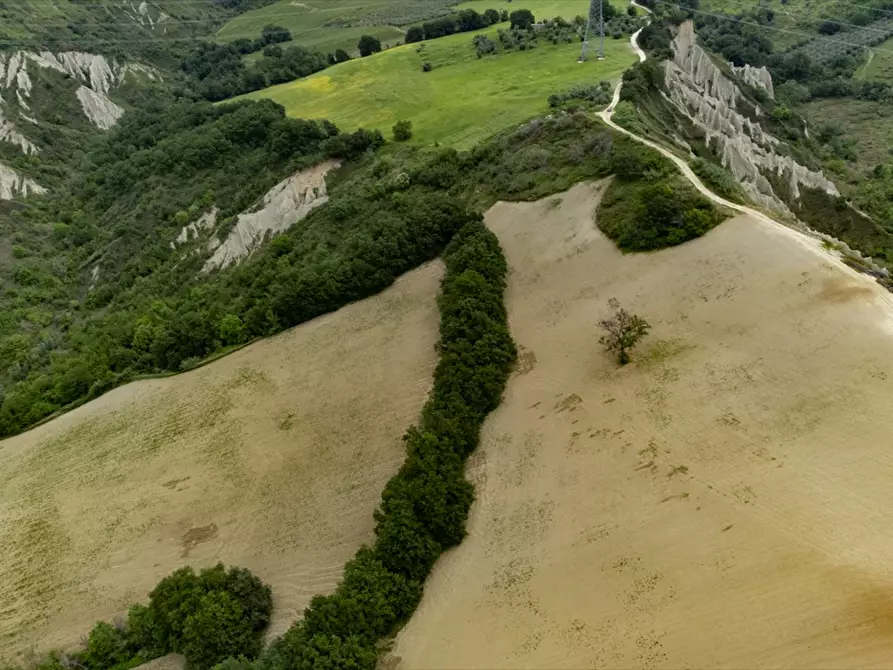 Immagine 10 di Terreno agricolo in vendita  a Bucchianico