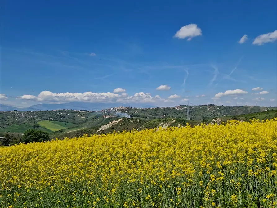 Immagine 24 di Terreno agricolo in vendita  a Bucchianico