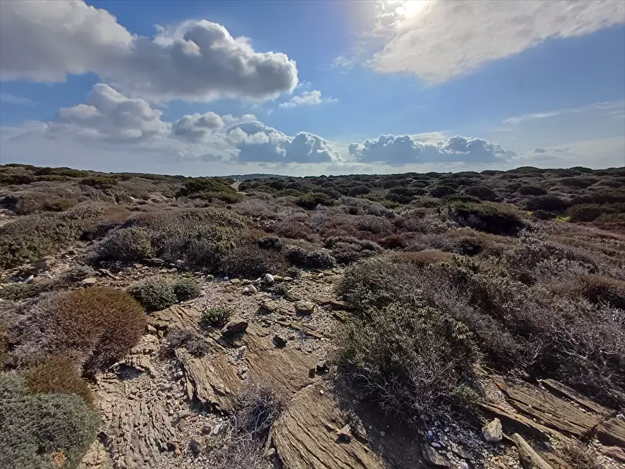 Immagine 15 di Terreno agricolo in vendita  in Cala Scoglietti 