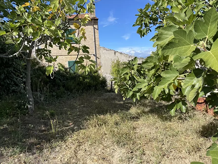 Immagine 17 di Rustico / casale in vendita  a Casalincontrada