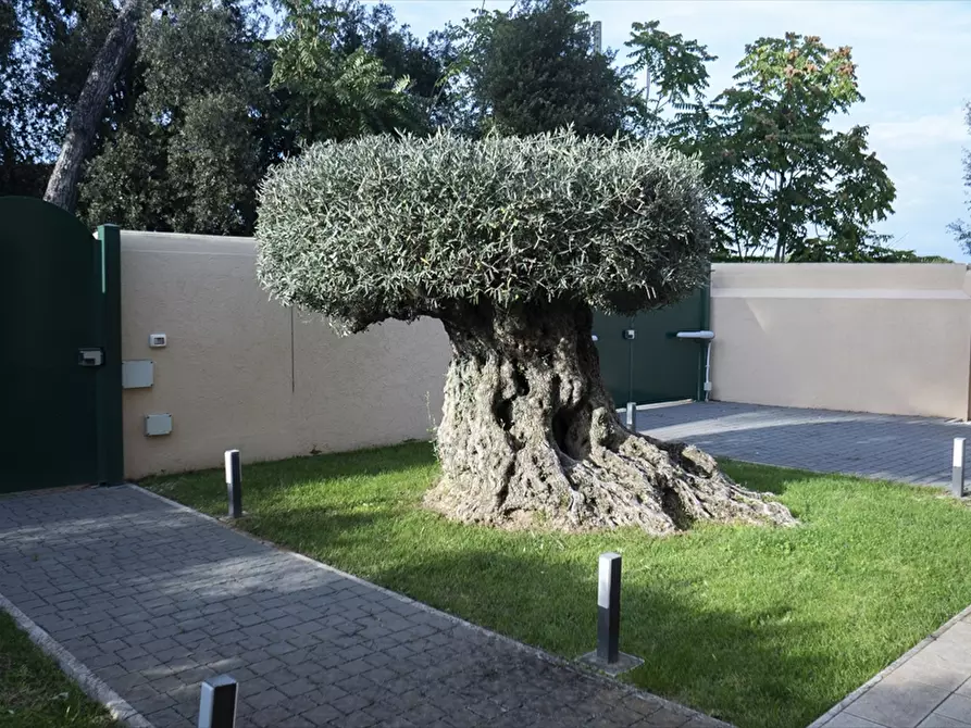 Immagine 28 di Villa in vendita  in Via primiero 150 a Anzio