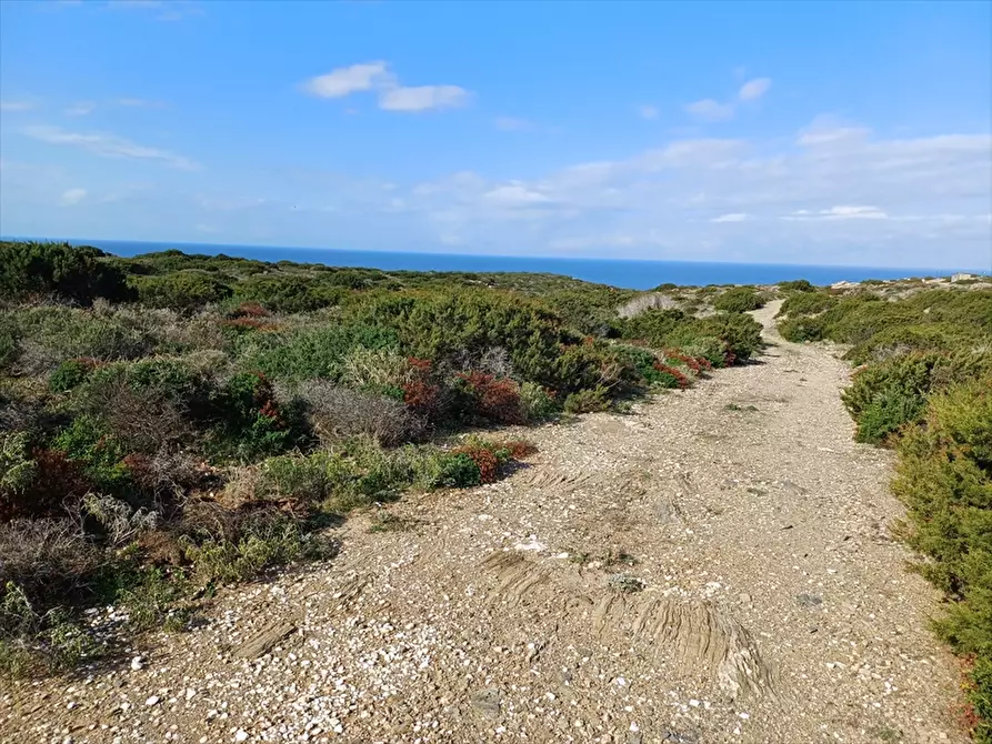 Immagine 2 di Terreno agricolo in vendita  in Cala Scoglietti 