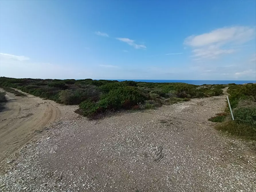 Immagine 25 di Terreno agricolo in vendita  in Cala Scoglietti 