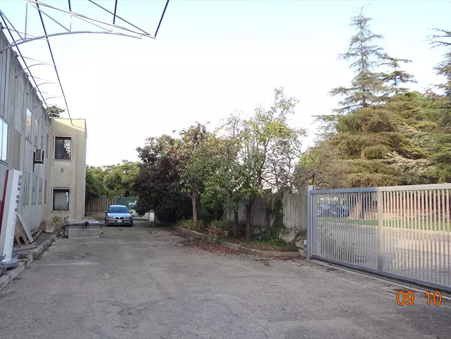 Immagine 3 di Capannone industriale in vendita  in Via Po a San Giovanni Teatino