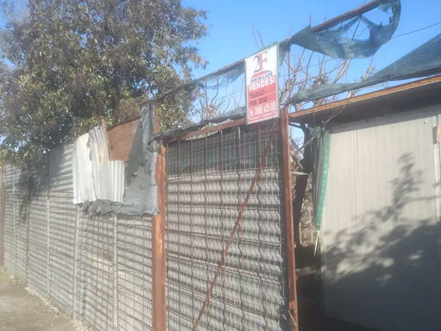 Immagine 12 di Terreno agricolo in vendita  in  TORRE QUARTO  a Cerignola