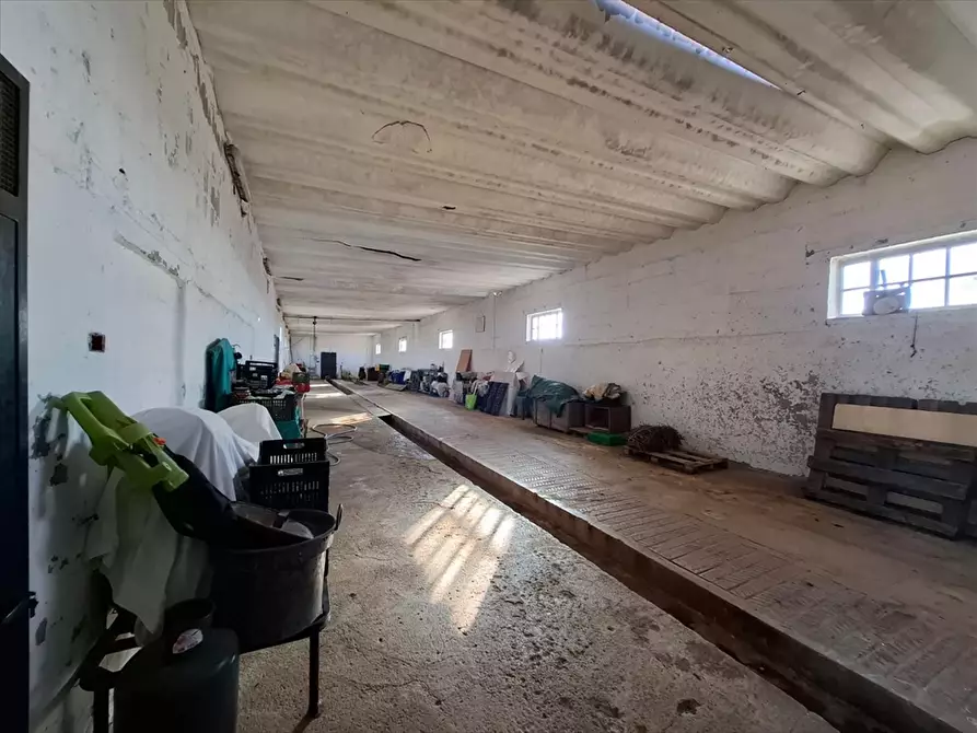 Immagine 12 di Casa indipendente in vendita  in Contrada Putignano 80 a Conversano