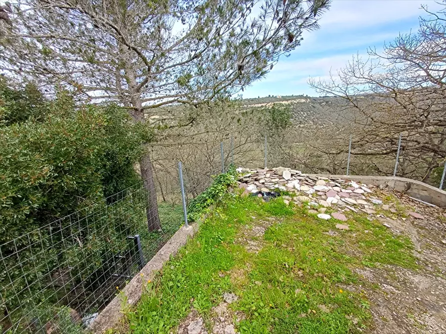 Immagine 5 di Terreno agricolo in vendita  in Zipirianu Località Ledò a Tissi