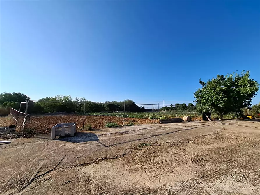 Immagine 4 di Casa indipendente in vendita  in Contrada Putignano 80 a Conversano