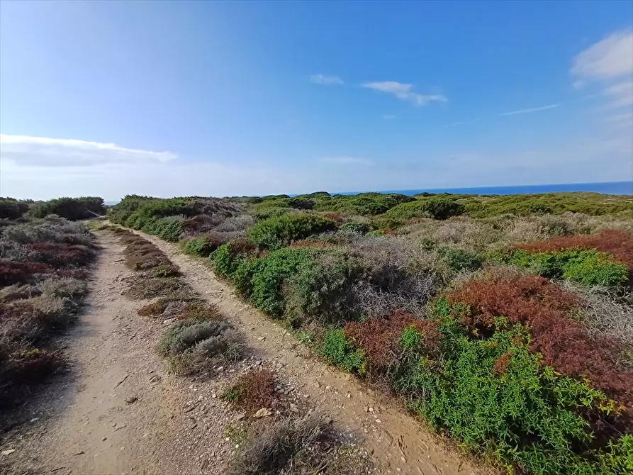Immagine 12 di Terreno agricolo in vendita  in Località Tanca di Li Baddi a Stintino