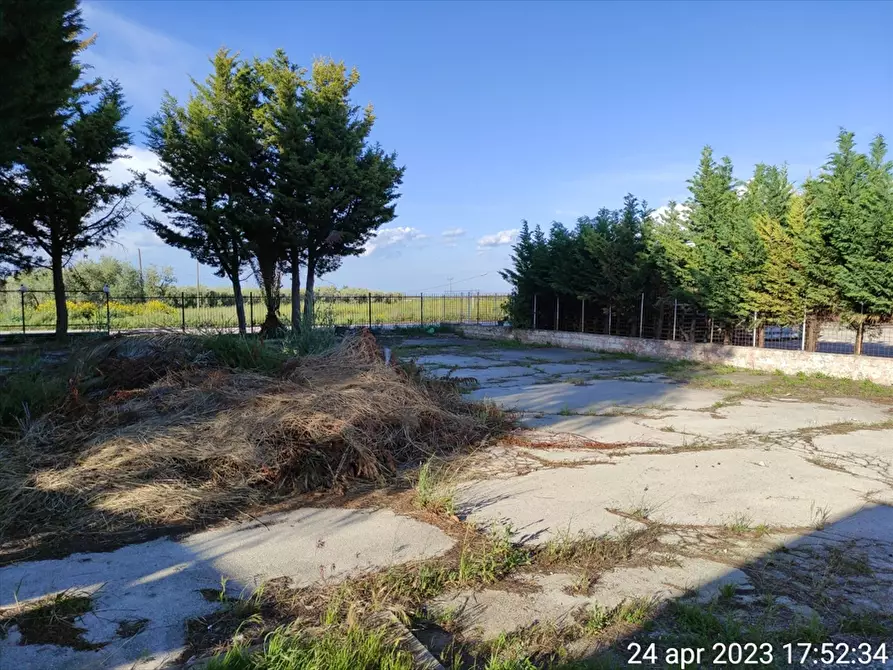 Immagine 4 di Locale commerciale in vendita  in Strada Provinciale  231 a Cerignola