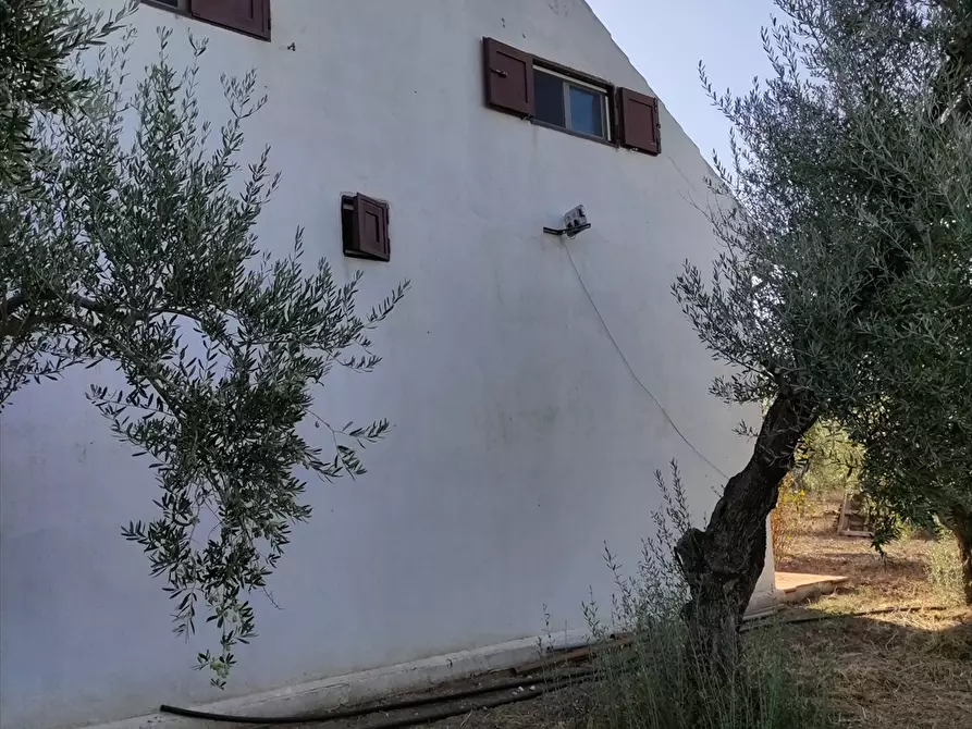 Immagine 16 di Terreno agricolo in vendita  in Contrada San Vito a Cerignola