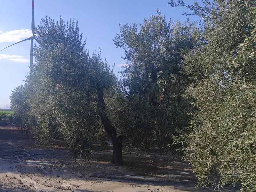 mansarda in vendita a Cerignola in zona Tressanti