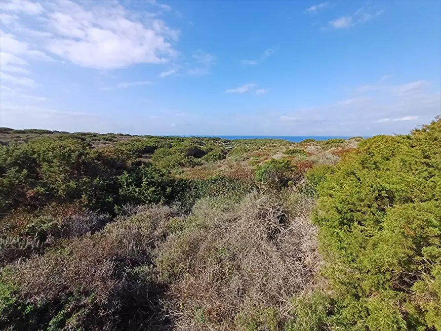 Immagine 8 di Terreno agricolo in vendita  in Cala Scoglietti 