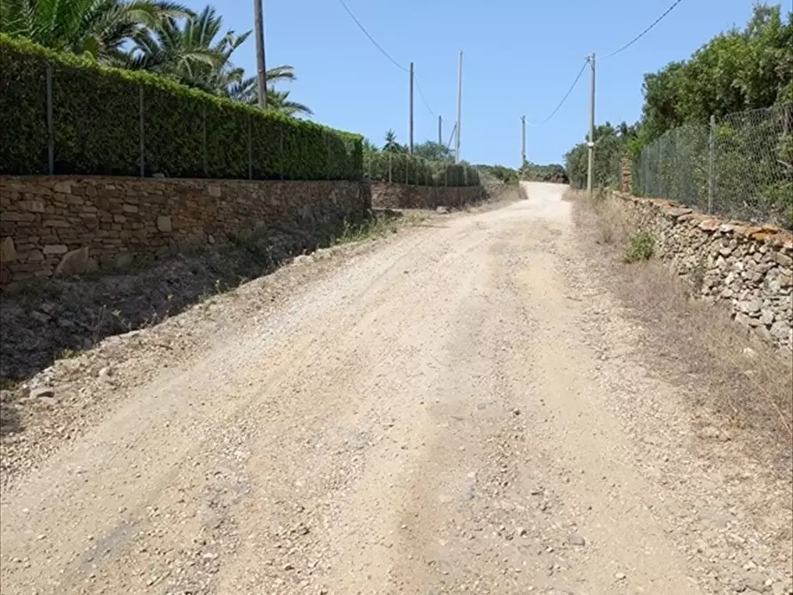 Immagine 4 di Terreno agricolo in vendita  in Biancareddu La Nurra 