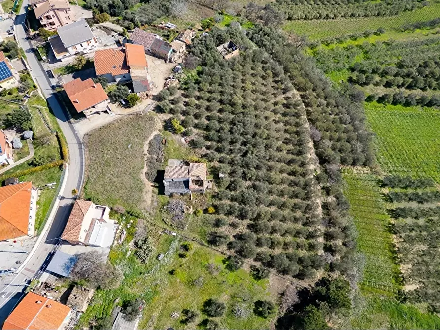 Immagine 2 di Terreno edificabile in vendita  a Ripa Teatina