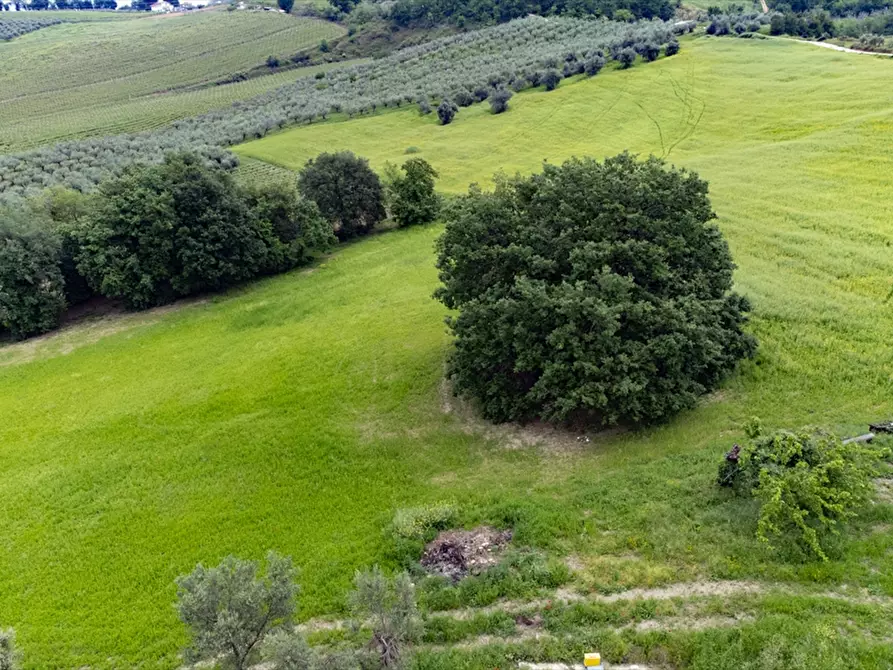 Immagine 17 di Terreno agricolo in vendita  a Bucchianico