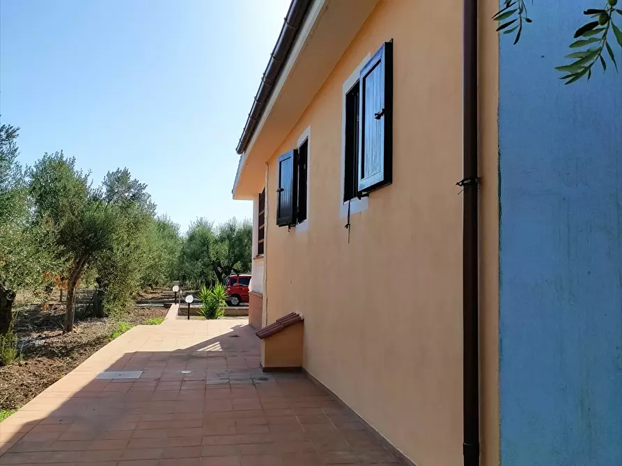 Immagine 17 di Terreno agricolo in vendita  in Contrada San Vito a Cerignola