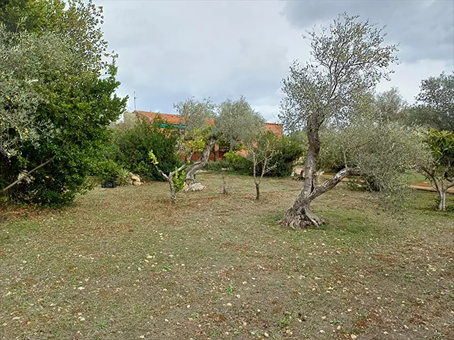 Immagine 21 di Casa indipendente in vendita  in Strada Vicinale Santa Maria di Lu Gardu n. 30/A a Sassari