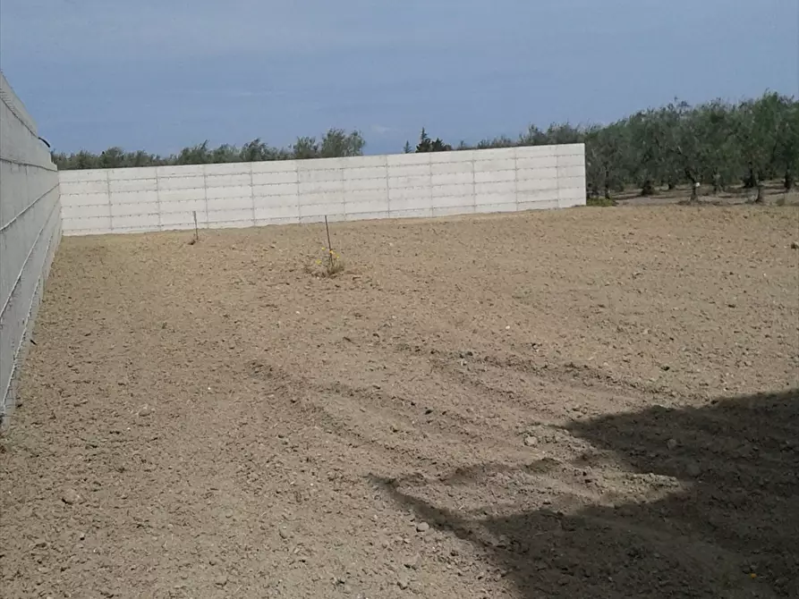 Immagine 2 di Terreno agricolo in vendita  in Zona 