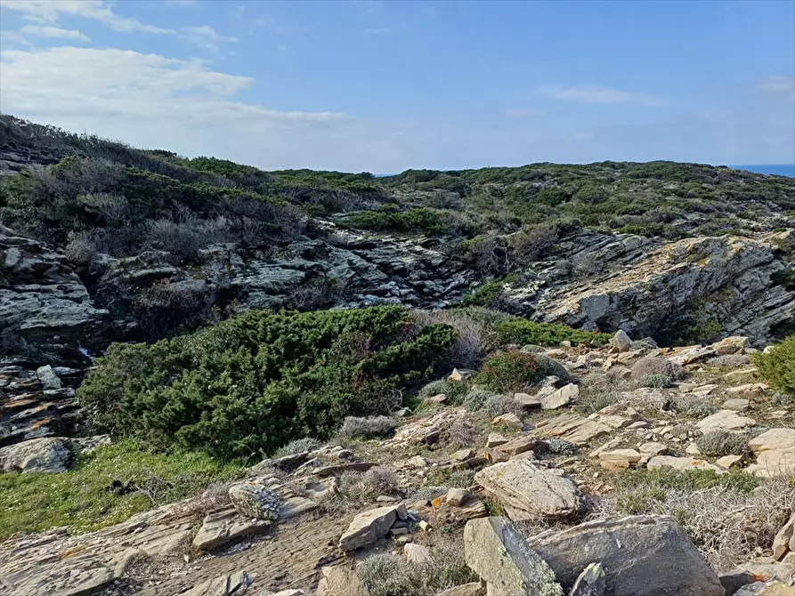 Immagine 20 di Terreno agricolo in vendita  in Cala Scoglietti 