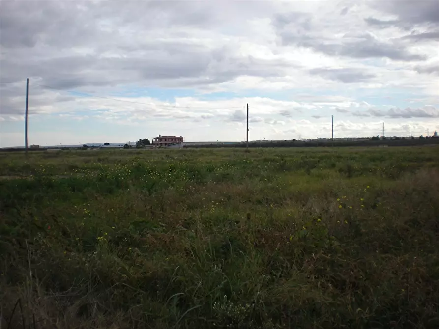 Immagine 3 di Terreno agricolo in vendita  in Via Manfredonia a Cerignola