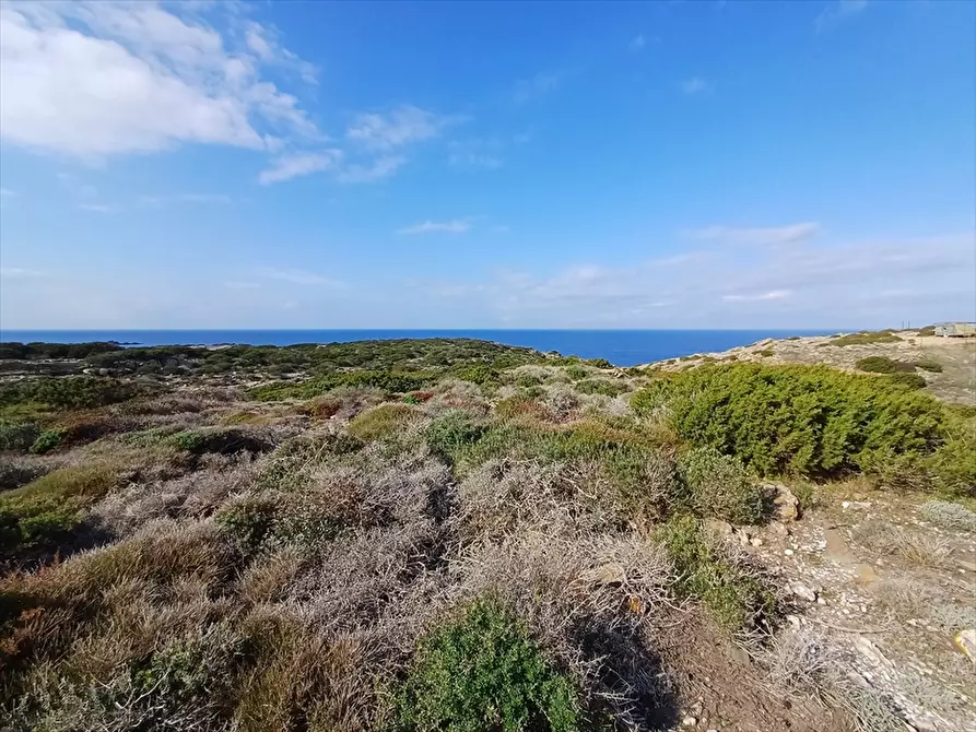 Immagine 17 di Terreno agricolo in vendita  in Cala Scoglietti 