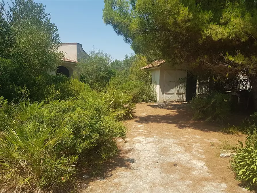 Immagine 25 di Villa in vendita  in Rosa Marina Via Jasmine 13 a Ostuni