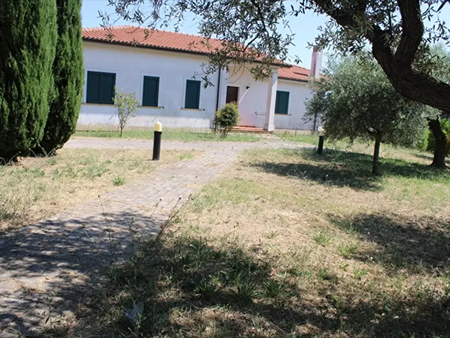 Immagine 2 di Casa indipendente in vendita  in Via Belvedere 27 a Collecorvino