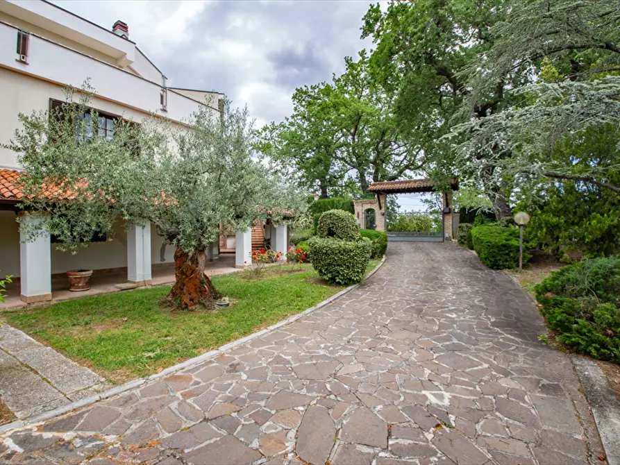 Immagine 23 di Villa in vendita  a Bucchianico