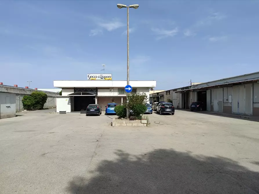 Immagine 6 di Terreno agricolo in vendita  in  VIA TRINITAPOLI  a Cerignola