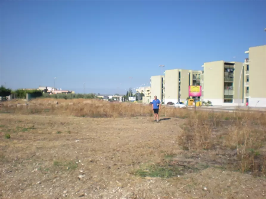 Immagine 2 di Terreno agricolo in vendita  a Cerignola