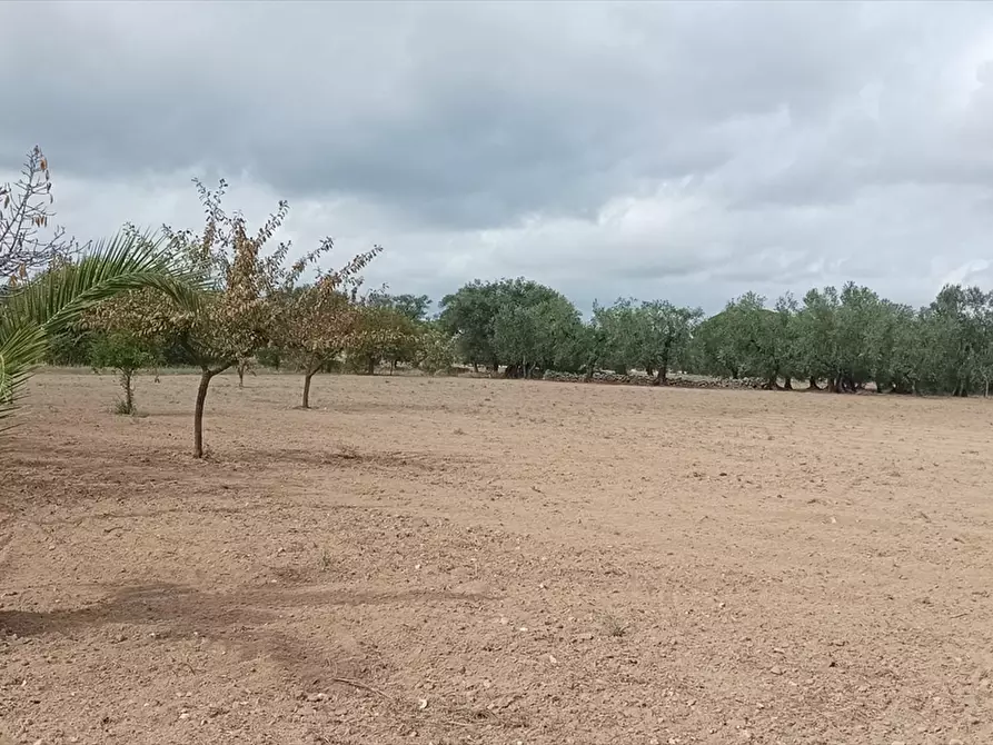 Immagine 4 di Terreno residenziale in vendita  a Corato