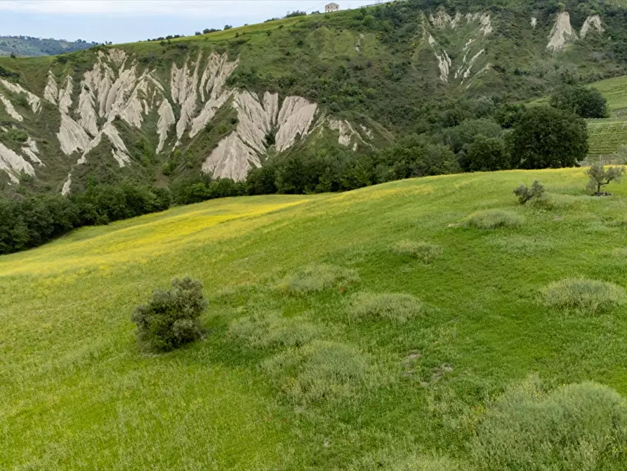Immagine 15 di Terreno agricolo in vendita  a Bucchianico
