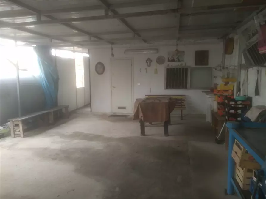 Immagine 3 di Terreno agricolo in vendita  in  TORRE QUARTO  a Cerignola