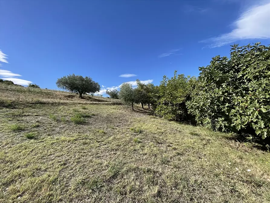 Immagine 14 di Rustico / casale in vendita  a Casalincontrada