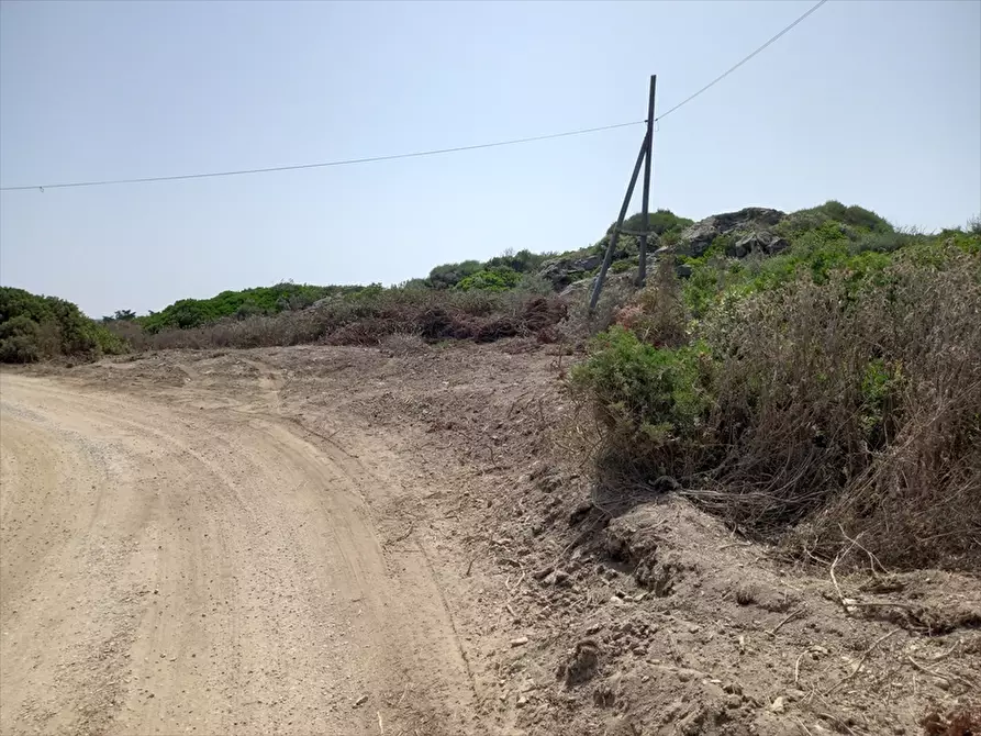 Immagine 16 di Terreno agricolo in vendita  in Biancareddu La Nurra 