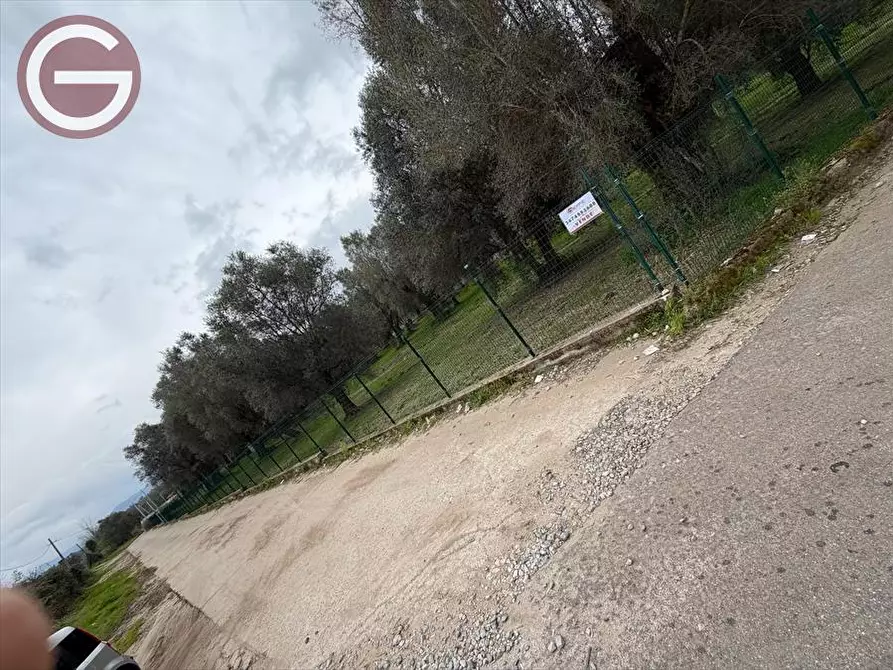 Immagine 12 di Terreno agricolo in vendita  a Taurianova