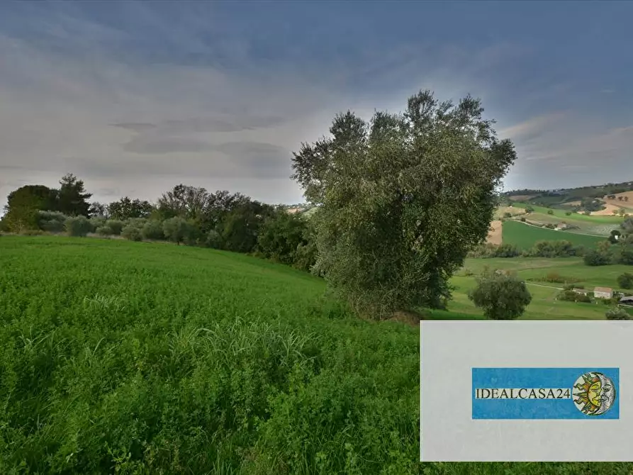 Immagine 22 di Terreno agricolo in vendita  in Corridonia Contrada Ponte tavola a Corridonia