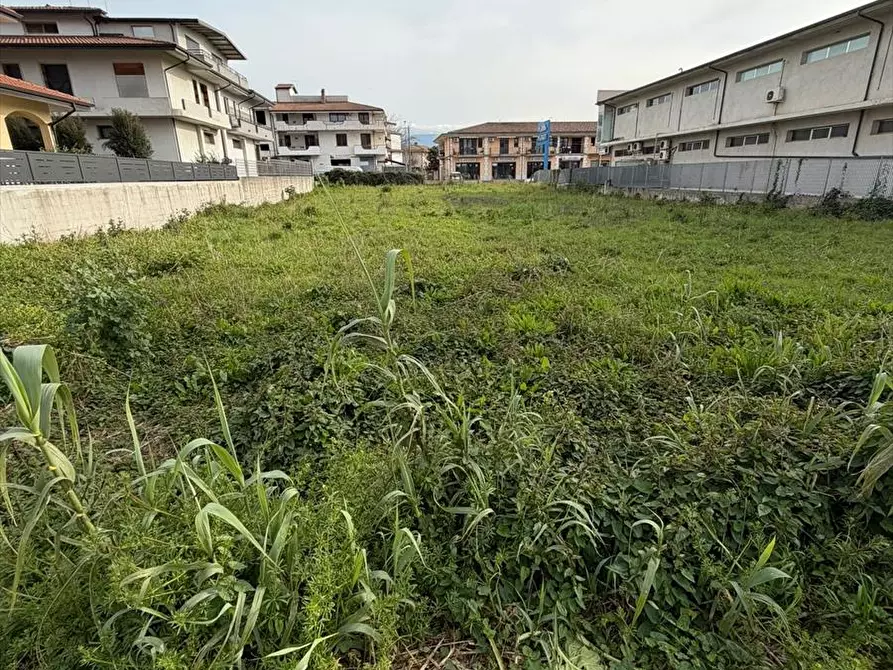 Immagine 4 di Terreno edificabile in vendita  a Taurianova