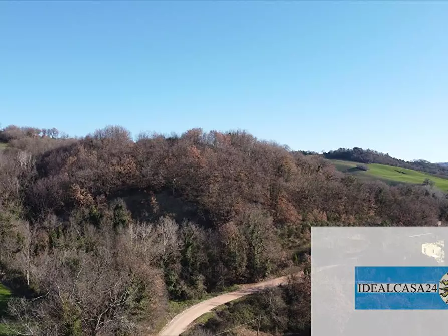 Immagine 2 di Terreno agricolo in vendita  in camporotondo di fiastrone c.da colvenale n. 7  a Camporotondo Di Fiastrone