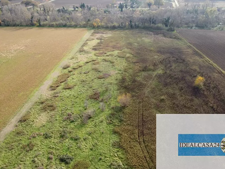 Immagine 4 di Terreno agricolo in vendita  in Treia C.da Chiaravalle snc a Treia