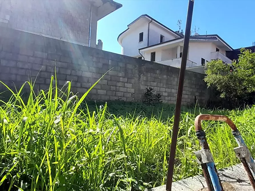 Immagine 13 di Appartamento in vendita  a Cittanova